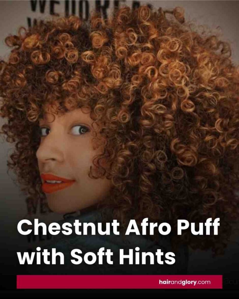Chestnut-Afro-Puff-with-Soft-Hints