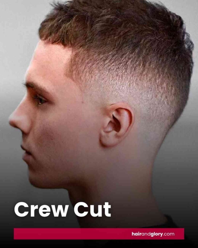 Crew Cut