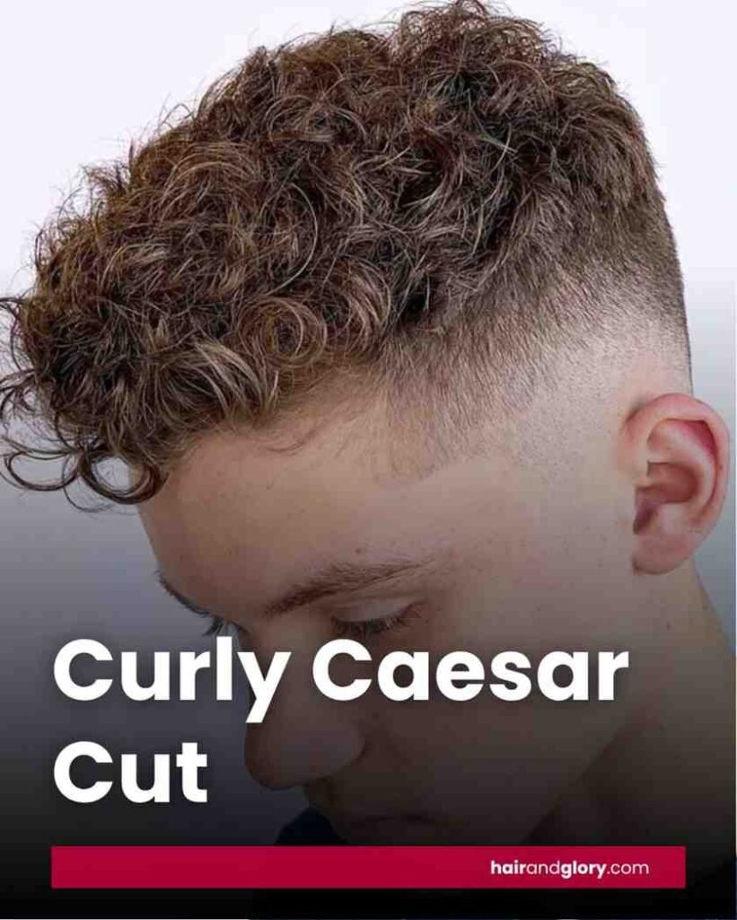 Curly-Caesar-Cut