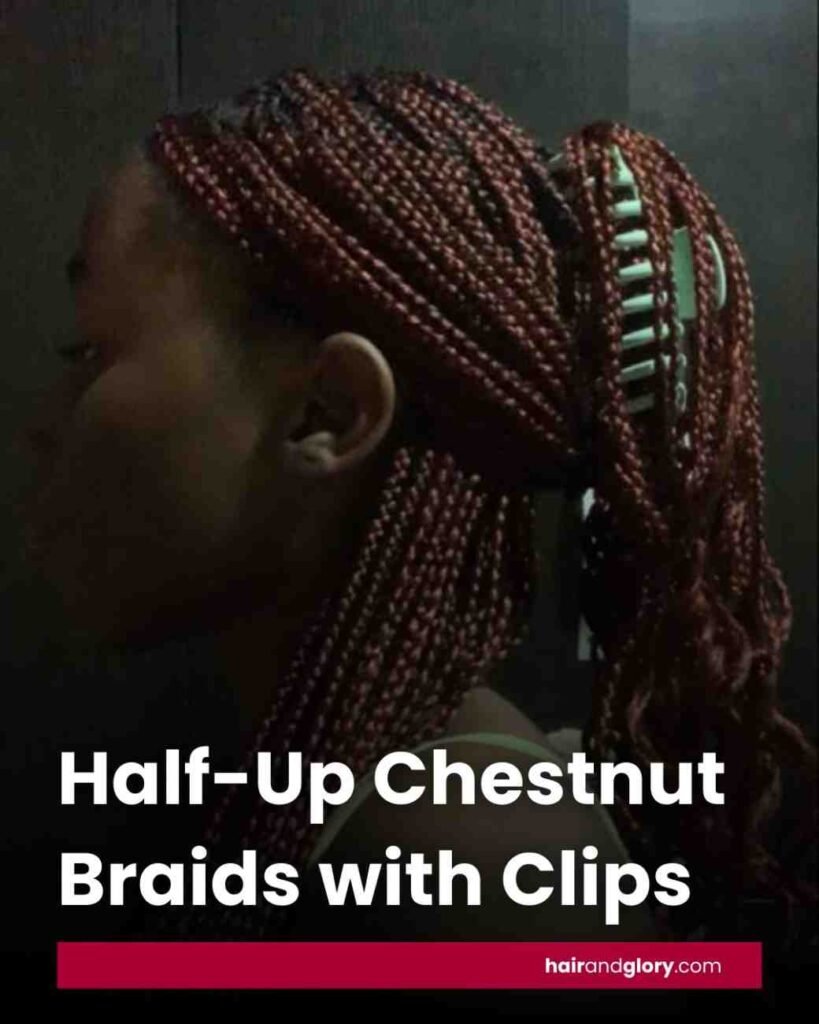 Half-Up-Chestnut-Braids-with-Clips