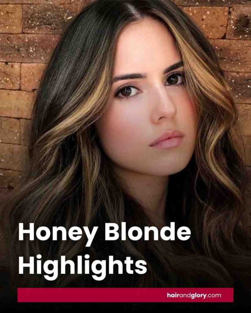 Honey-Blonde-Highlights