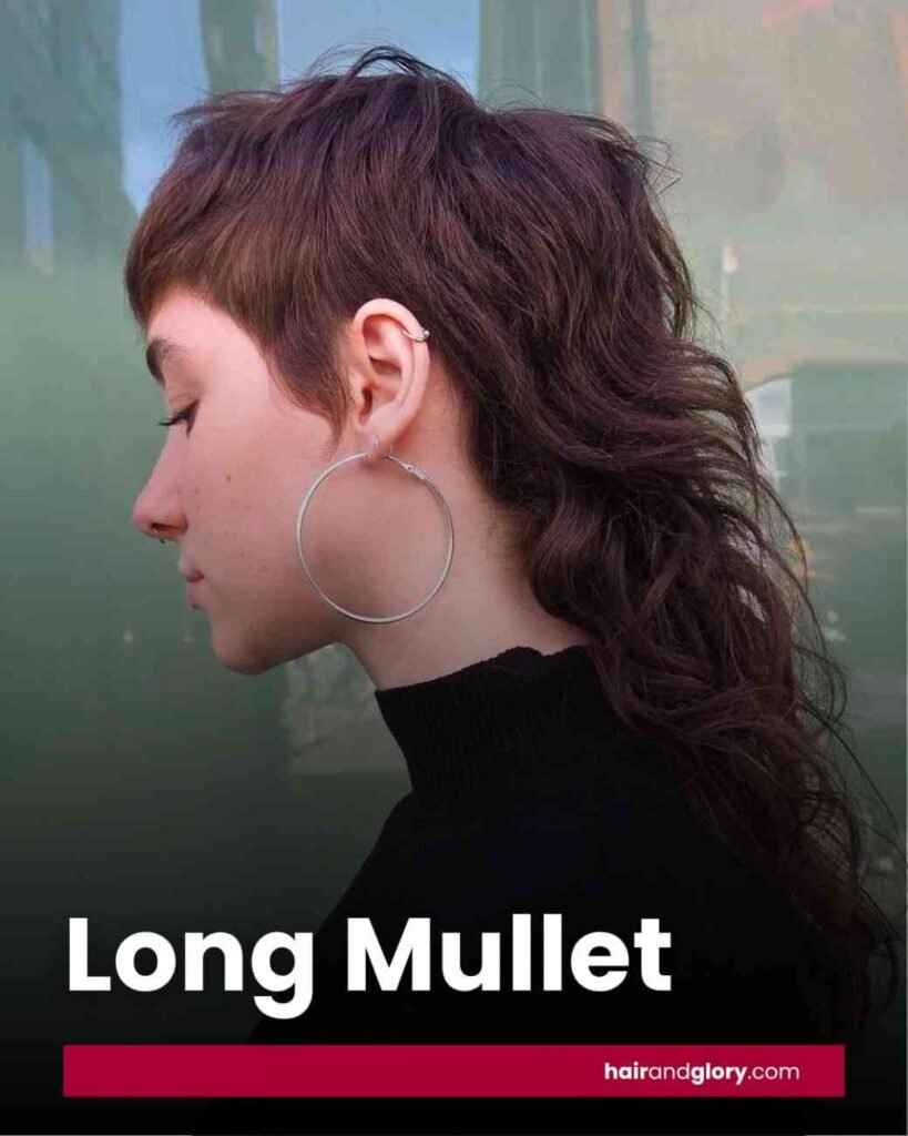 Long-Mullet