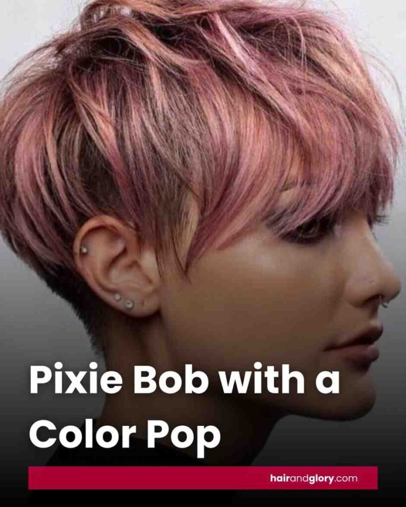 Pixie-Bob-with-a-Color-Pop